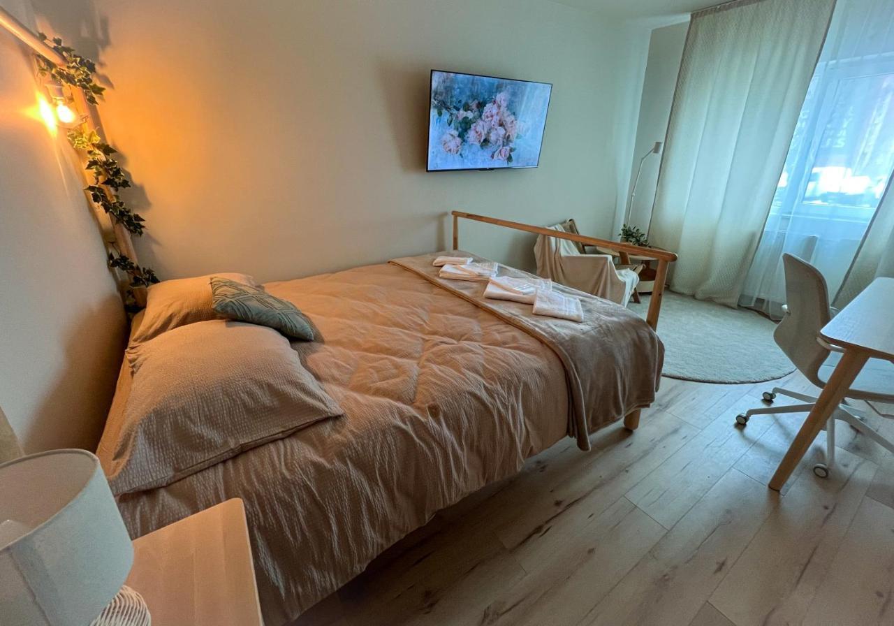 Transylvania Aparthotel - Free Parking 克卢日-纳波卡 外观 照片